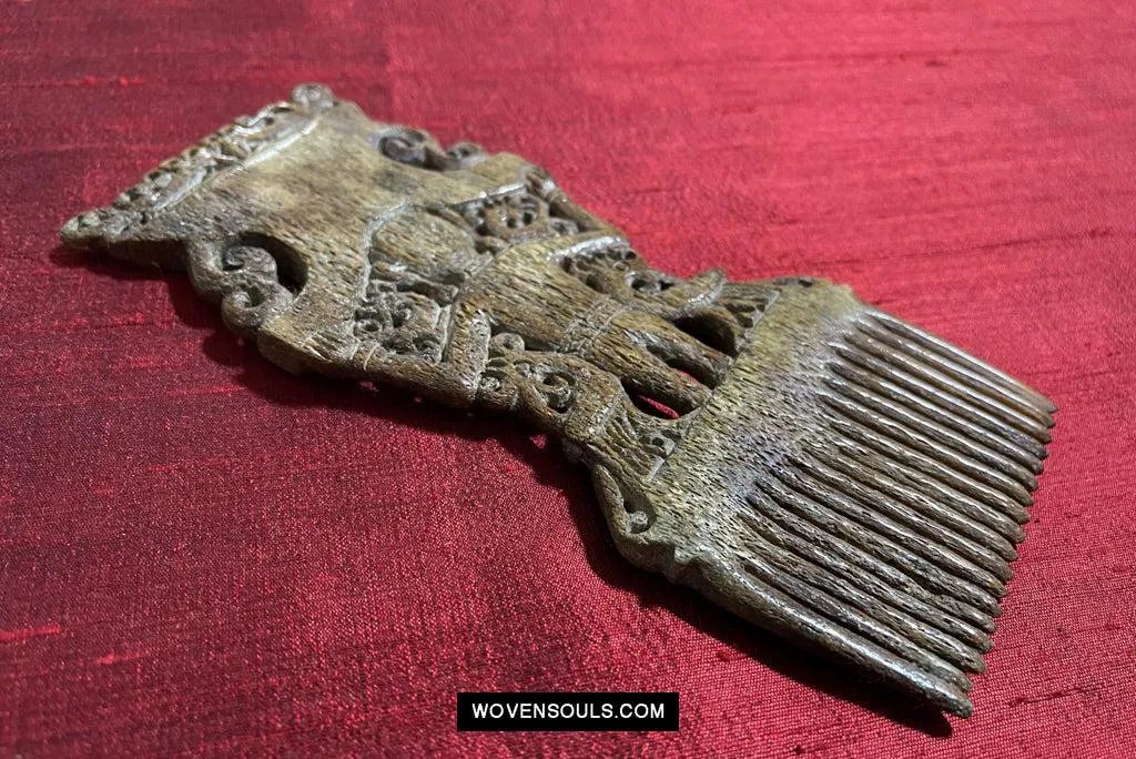 1654 Old Tanimbar Comb - Not for sale