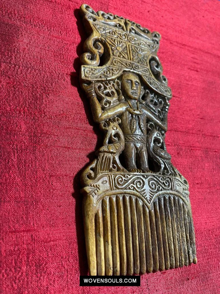 1654 Old Tanimbar Comb - Not for sale