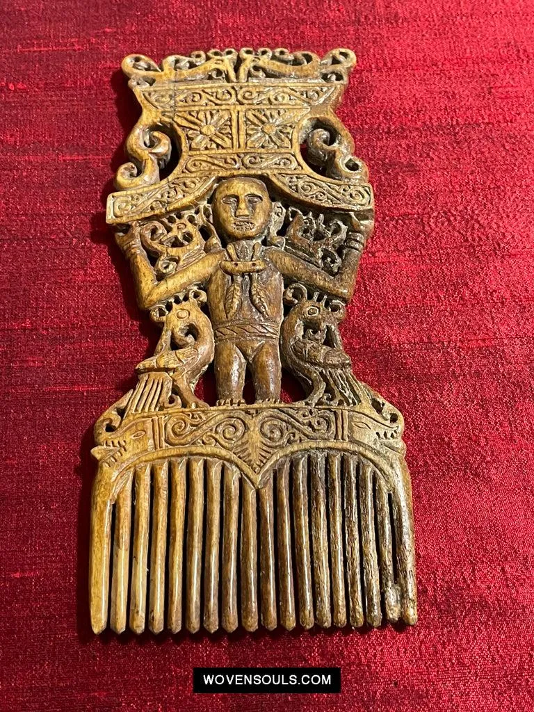 1654 Old Tanimbar Comb - Not for sale