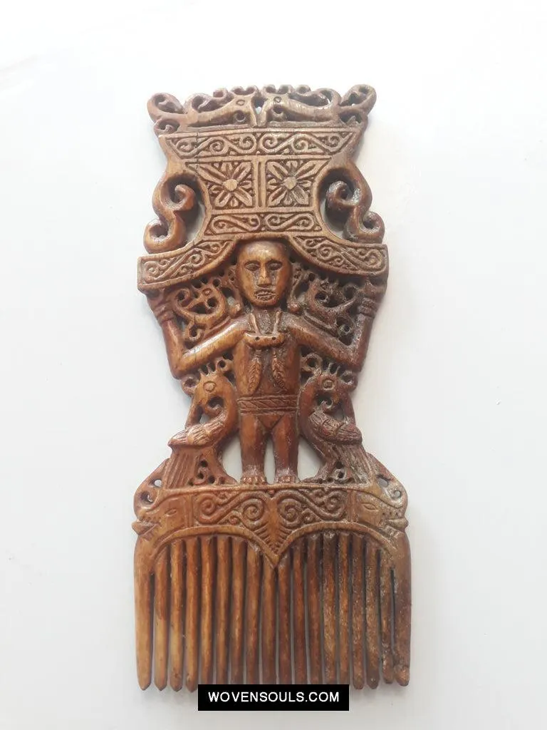 1654 Old Tanimbar Comb - Not for sale