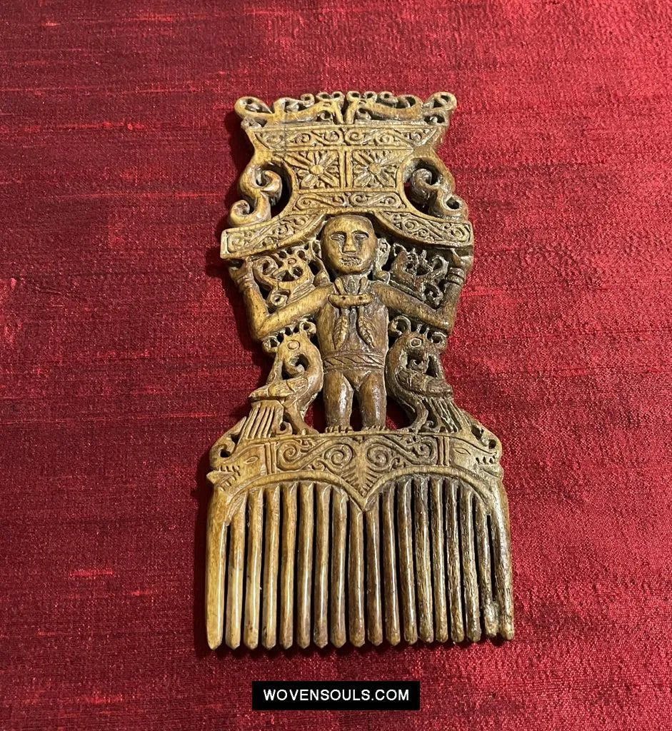 1654 Old Tanimbar Comb - Not for sale