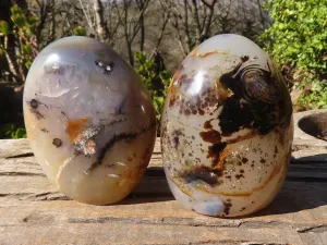 Polished Dendritic Agate Standing Free Forms  x 2 From Madagascar