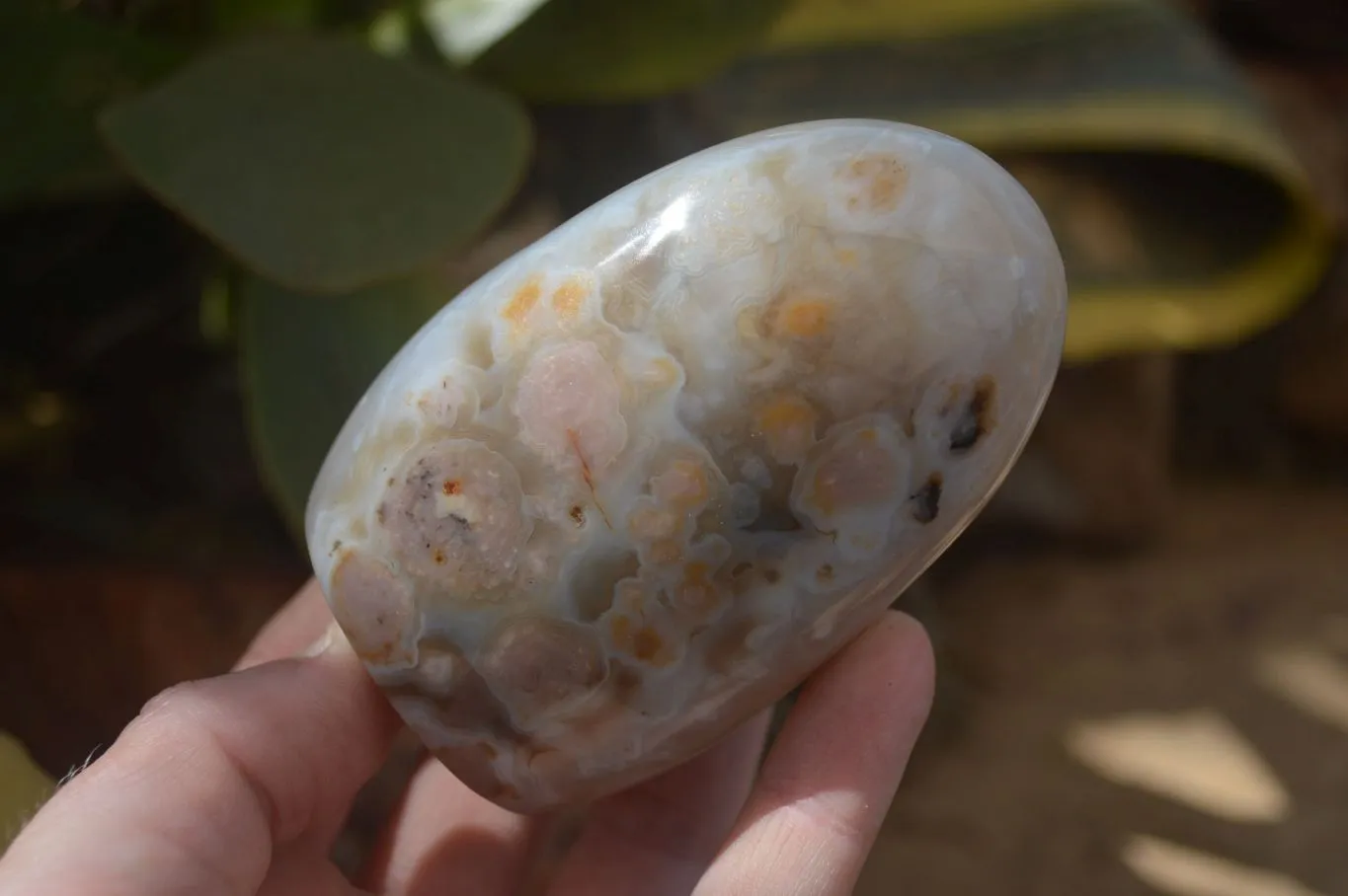 Polished Dendritic Agate Standing Free Forms x 3 From Madagascar