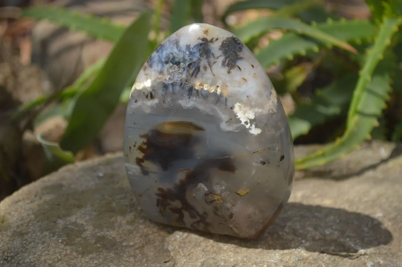 Polished Dendritic Agate Standing Free Forms x 3 From Madagascar