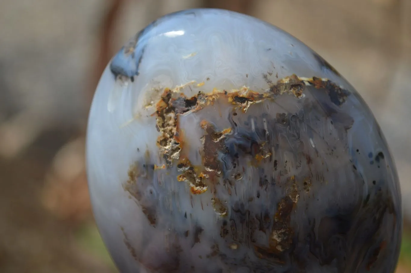 Polished Dendritic Agate Standing Free Forms x 3 From Madagascar