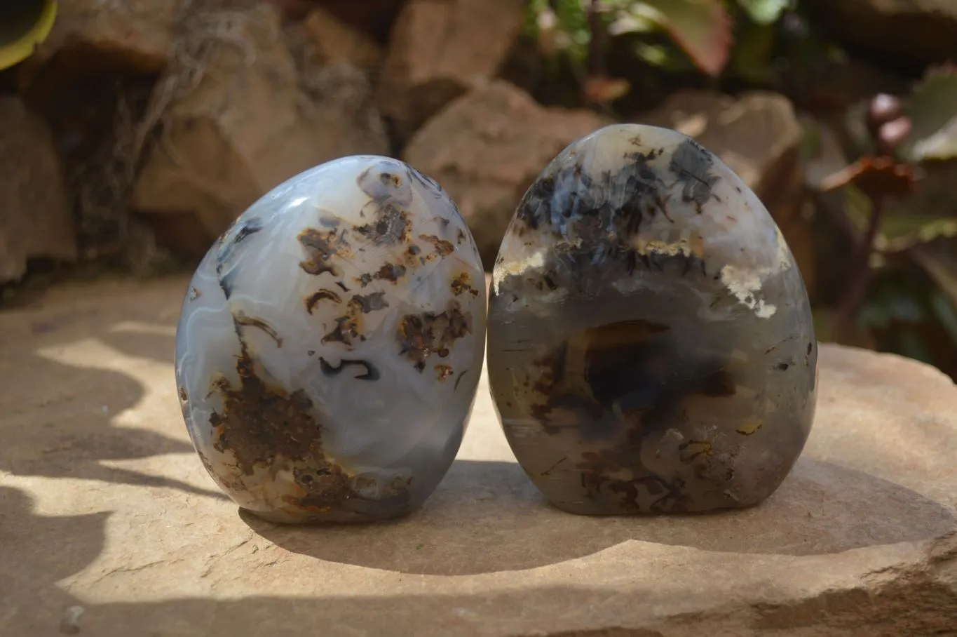 Polished Dendritic Agate Standing Free Forms x 3 From Madagascar