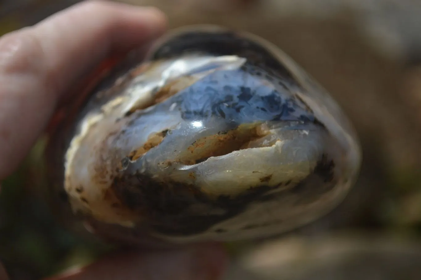 Polished Dendritic Agate Standing Free Forms x 3 From Madagascar