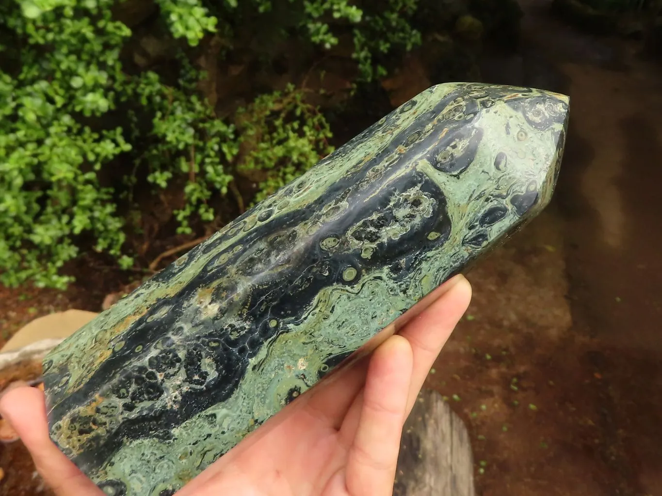 Polished Large Stromatolite / Kambamba Jasper Point x 1 From Madagascar