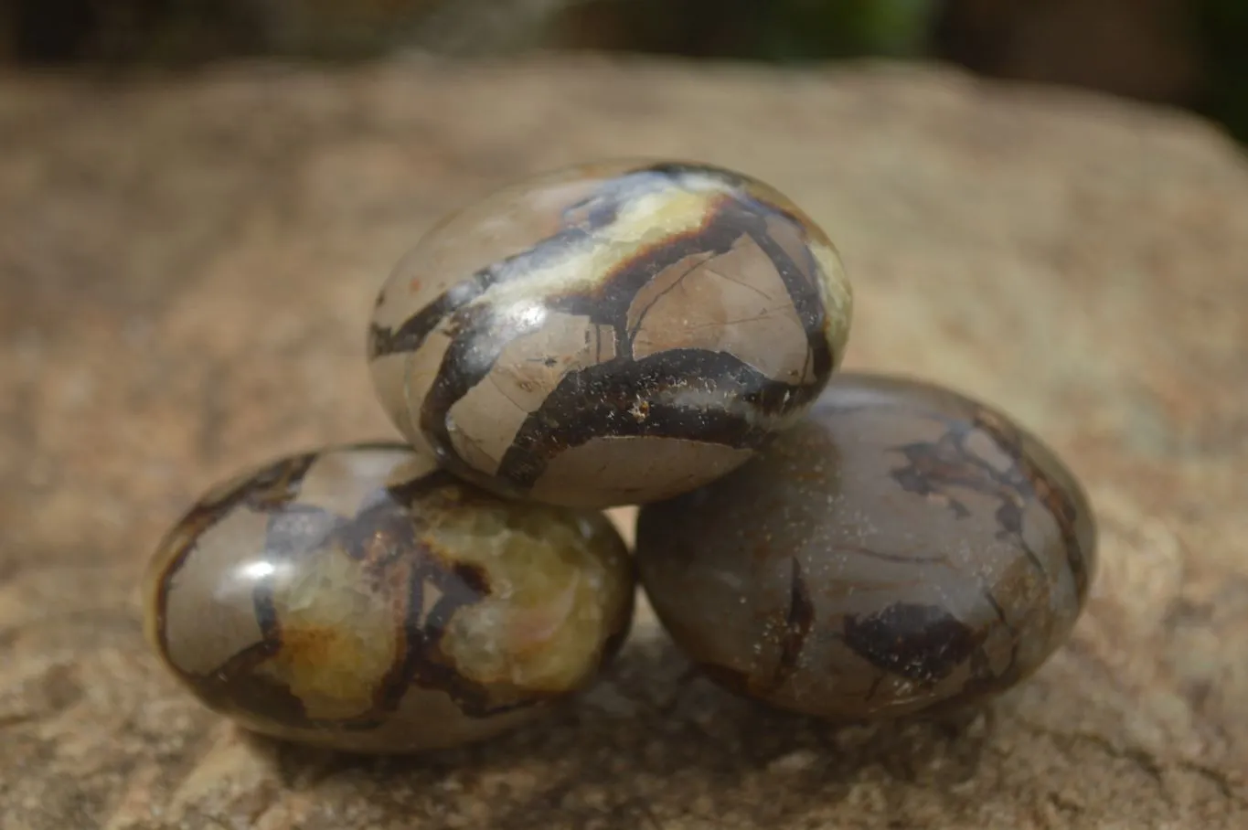 Polished Lovely Mixed Selection Of Galet / Palm Stones x 12 From Madagascar