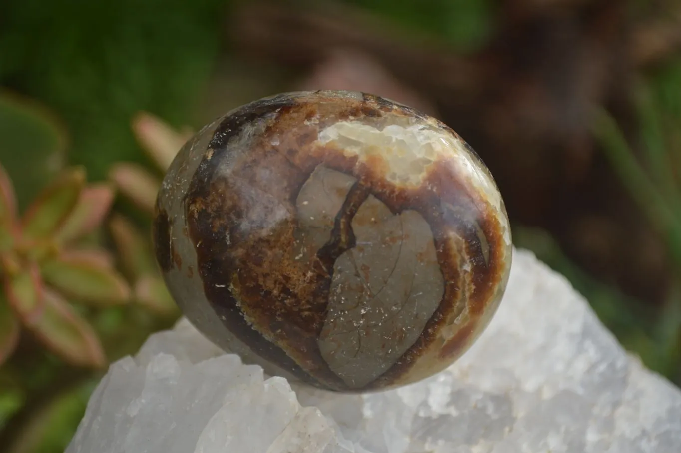 Polished Lovely Mixed Selection Of Galet / Palm Stones x 12 From Madagascar