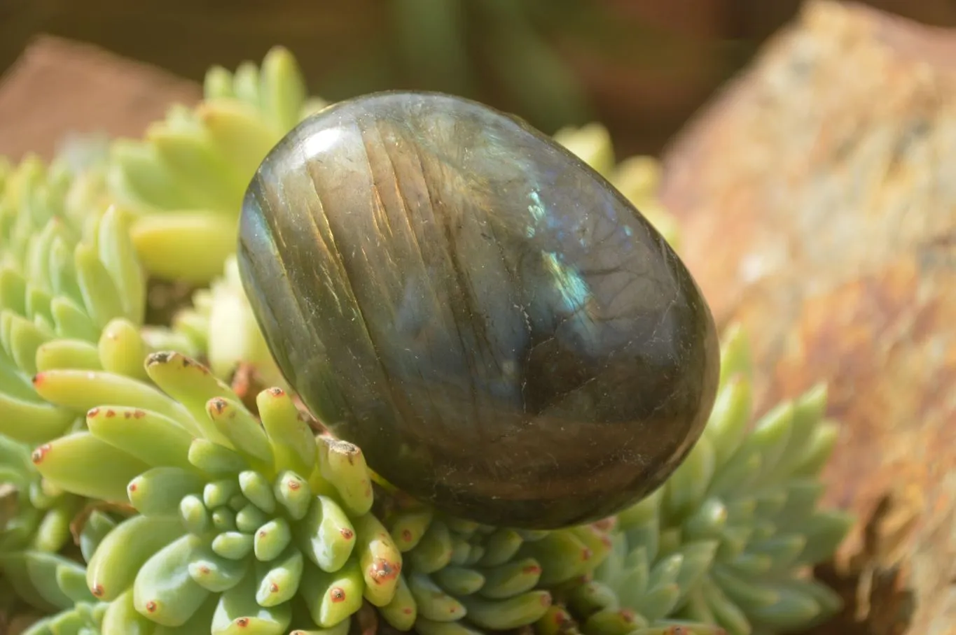 Polished Lovely Mixed Selection Of Galet / Palm Stones x 12 From Madagascar