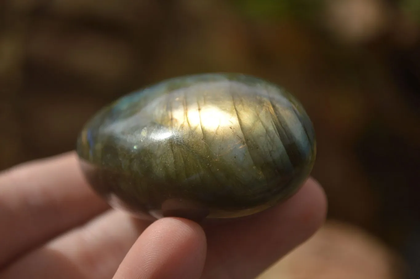 Polished Lovely Mixed Selection Of Galet / Palm Stones x 12 From Madagascar